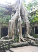 Enlarge photo 79
