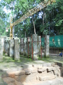Enlarge photo 81