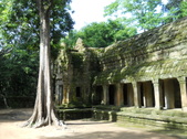 Enlarge photo 83