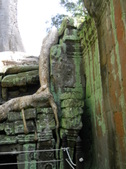 Enlarge photo 86