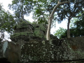 Enlarge photo 94