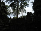 Enlarge photo 96