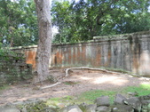 Enlarge photo 97