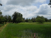 Enlarge photo 107