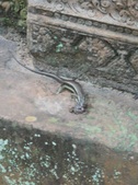 Enlarge photo 113