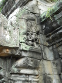 Enlarge photo 134