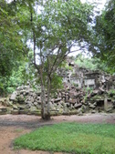 Enlarge photo 146