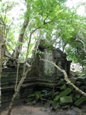 Enlarge photo 150