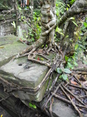 Enlarge photo 151
