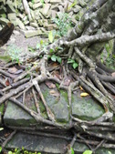 Enlarge photo 152