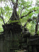 Enlarge photo 154