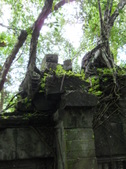 Enlarge photo 155