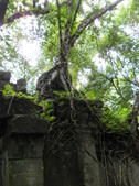 Enlarge photo 156