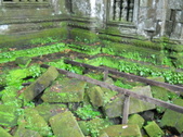 Enlarge photo 158