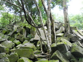 Enlarge photo 159