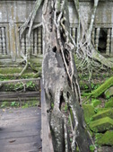 Enlarge photo 160