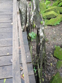 Enlarge photo 161