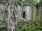 Enlarge photo 162