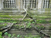 Enlarge photo 163