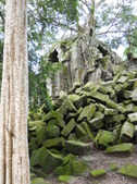 Enlarge photo 166