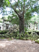 Enlarge photo 167