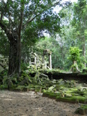 Enlarge photo 168