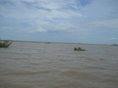 Enlarge photo 174