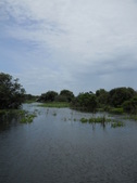 Enlarge photo 175