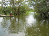Enlarge photo 177