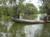 Enlarge photo 178