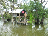 Enlarge photo 179