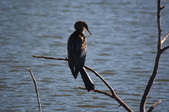 Enlarge photo 19