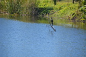 Enlarge photo 30