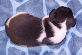 Enlarge photo 28