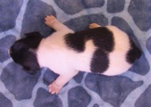 Enlarge photo 39