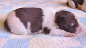 Enlarge photo 56