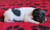 Enlarge photo 13