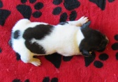 Enlarge photo 19