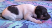 Enlarge photo 13
