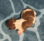 Enlarge photo 27