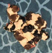 Enlarge photo 4