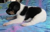 Enlarge photo 5