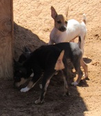 Enlarge photo 24