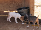 Enlarge photo 38