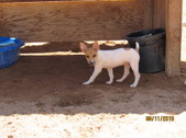 Enlarge photo 39