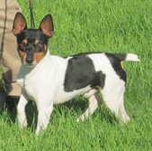 Cowboy & Gidget