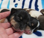 Enlarge photo 8