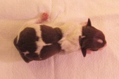 Enlarge photo 15