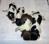 New Born
