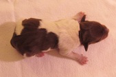 Enlarge photo 23